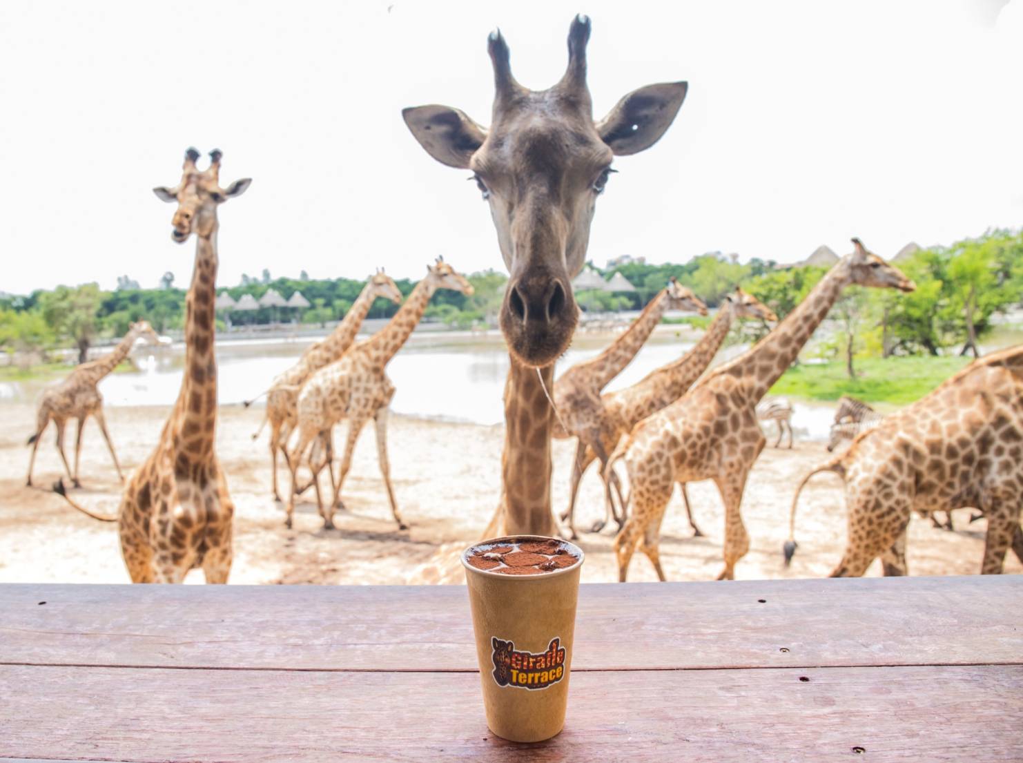 Safari World Zoo and Park