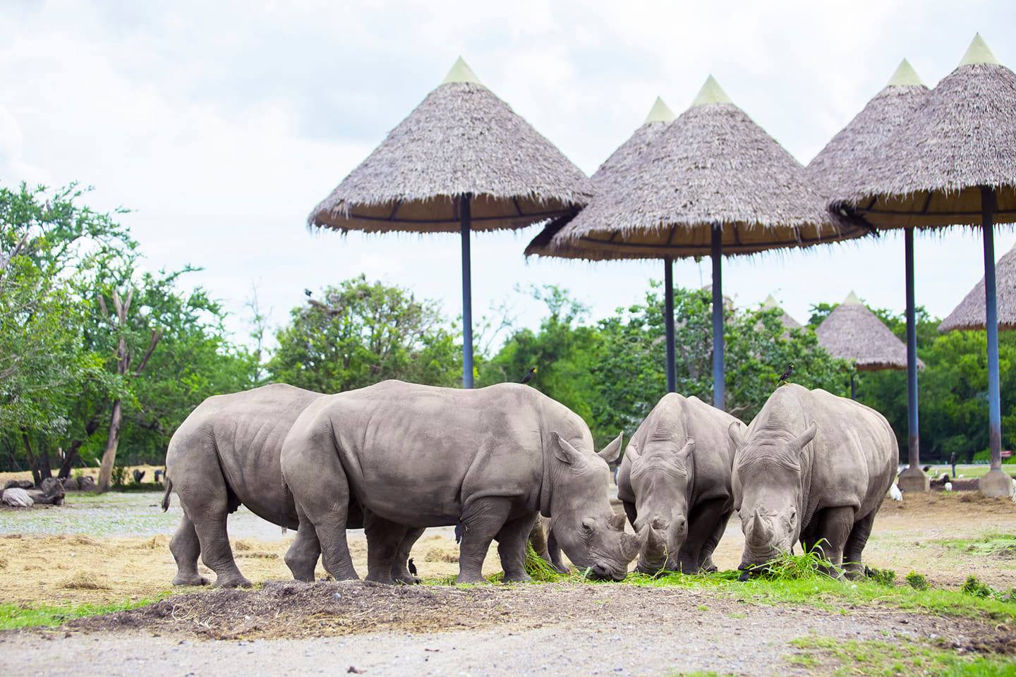 Safari World Zoo and Park