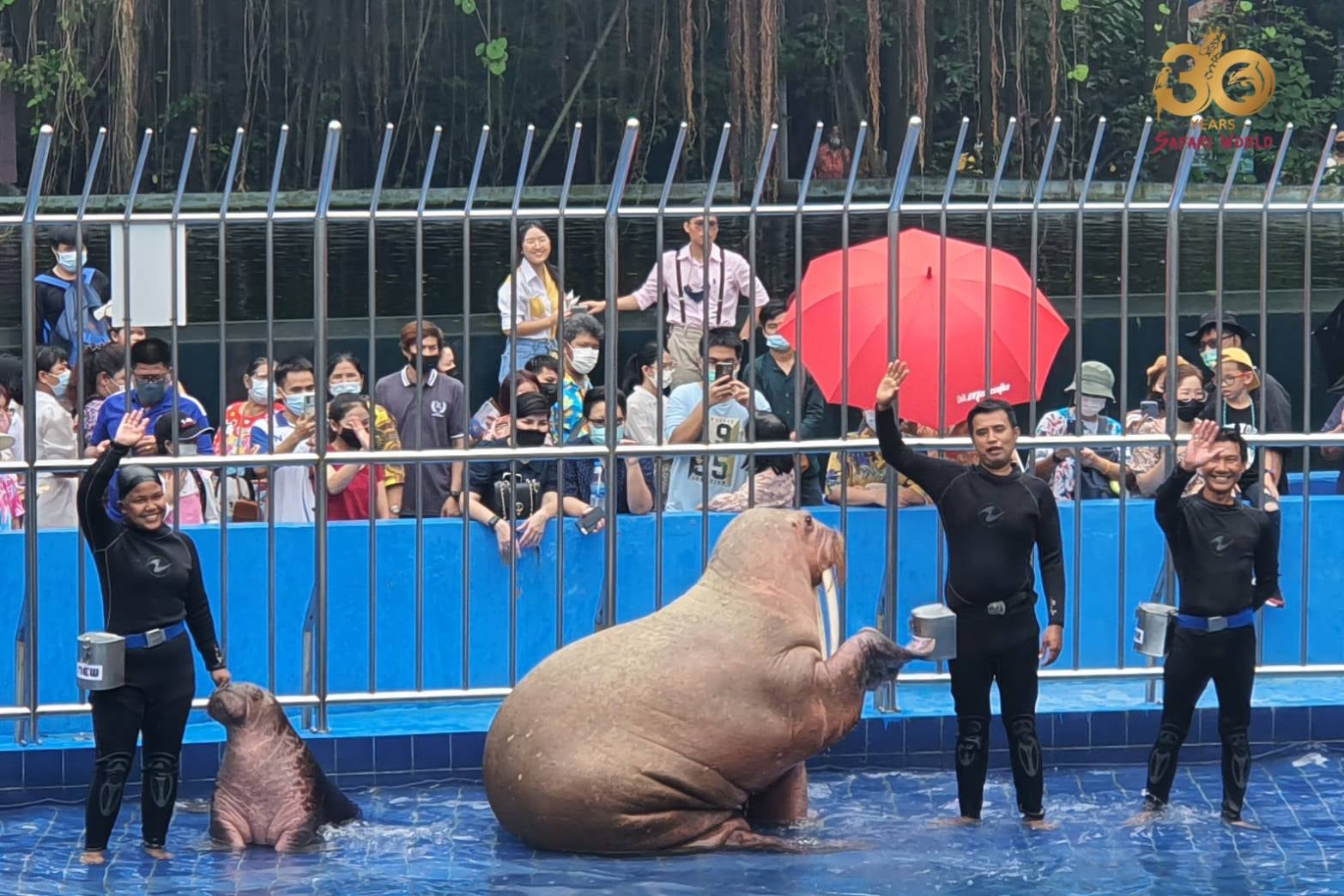 Safari World Zoo and Park