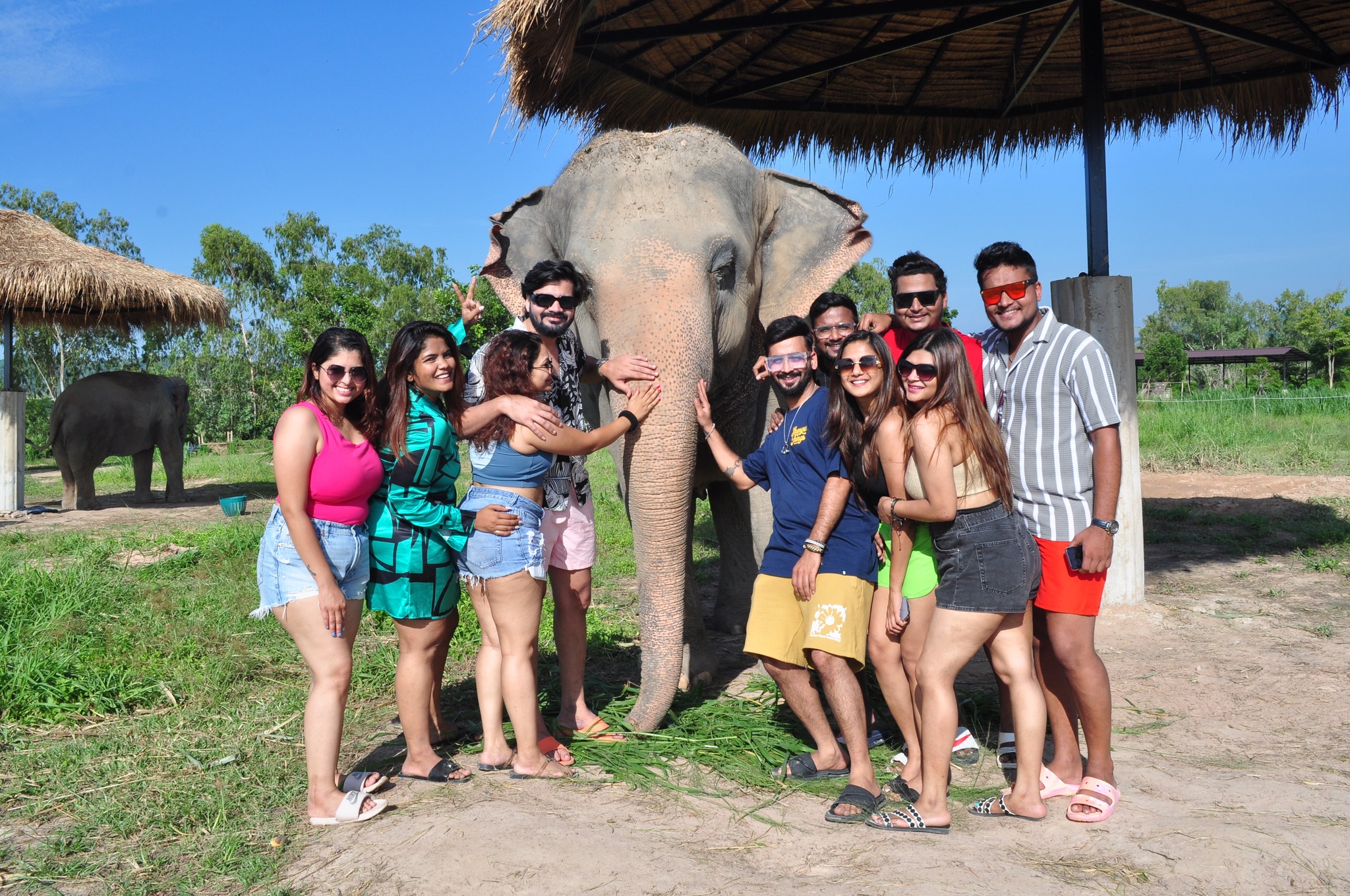 Elephant Jungle Sanctuary Pattaya