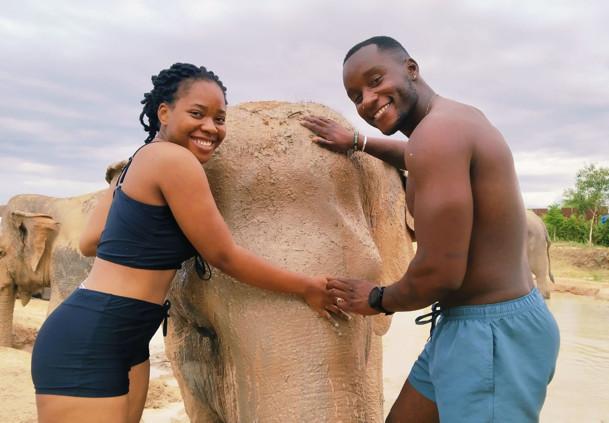 Elephant Jungle Sanctuary Pattaya