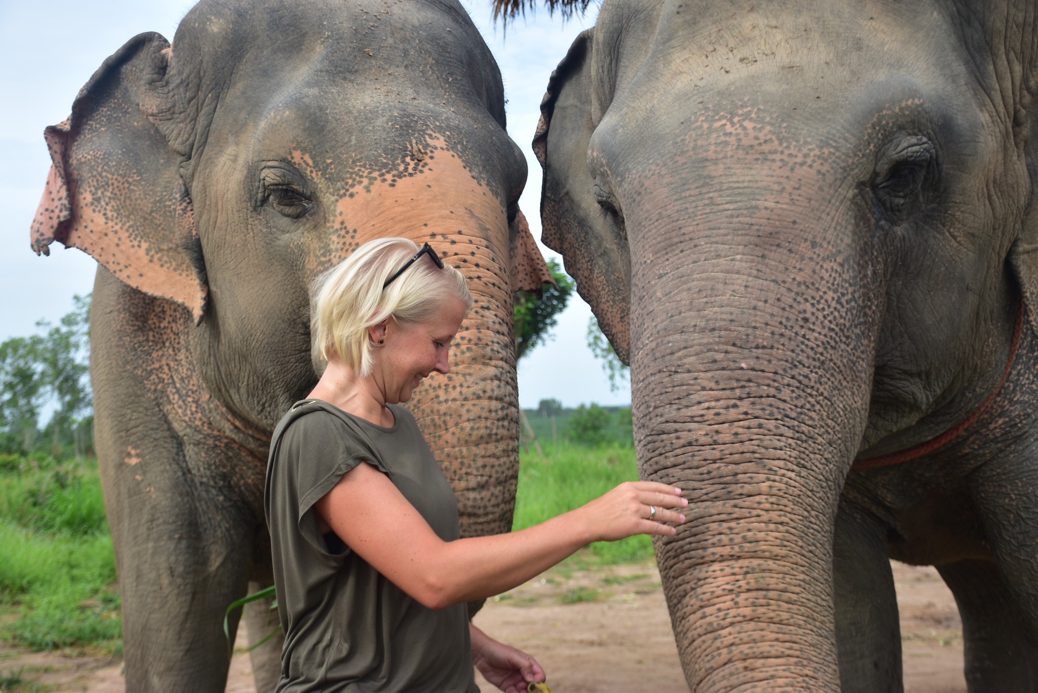 Elephant Jungle Sanctuary Pattaya