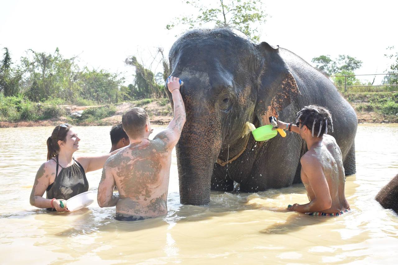 Elephant Jungle Sanctuary Pattaya