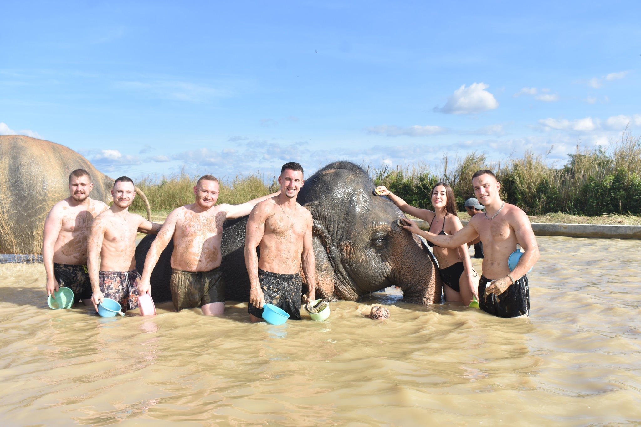 Elephant Jungle Sanctuary Pattaya