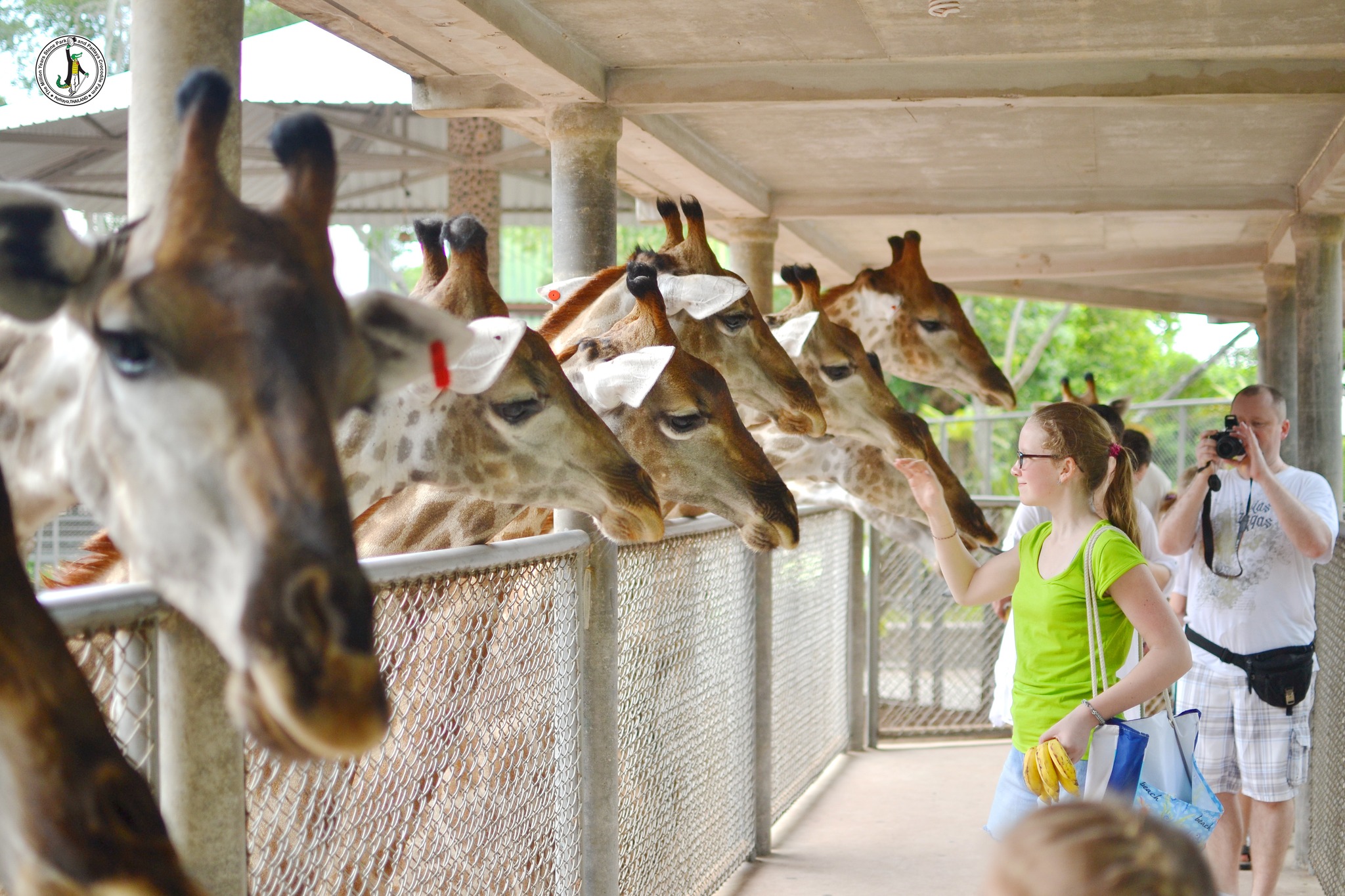 Million Years Stone Park and Crocodile Farm Pattaya