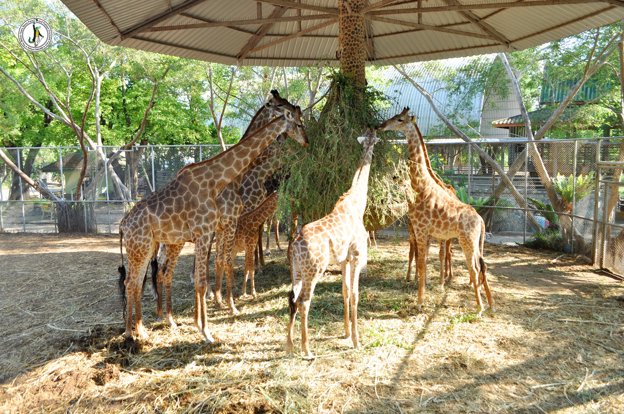 Million Years Stone Park and Crocodile Farm Pattaya