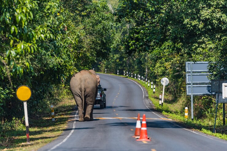 Khao Kho Phetchabun Private Tour