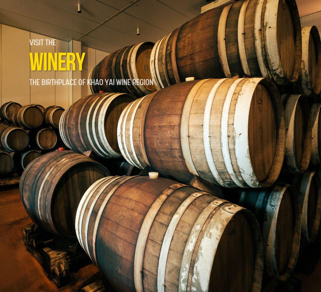 Khao Yai Winery One Day Trip