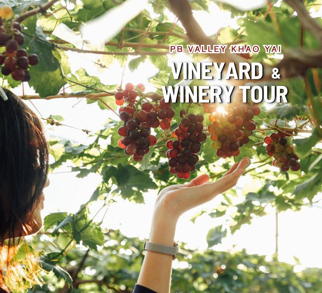 Khao Yai Winery One Day Trip