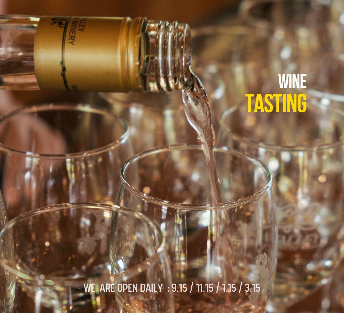 Khao Yai Winery One Day Trip